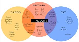 macronutrients what is the ideal breakdown fitness lab