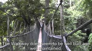 The trek from the park office/mutiara resort to the canopy walk takes about. Frim Canopy Walkway Kl Youtube