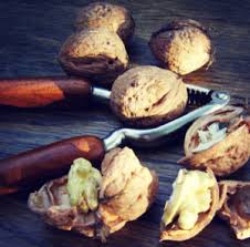 Ces nutriments impossibles à digérer par l'organisme nous aident à nettoyer et à protéger notre système digestif. Fruits A Coque Prevention Allergies Alimentaires