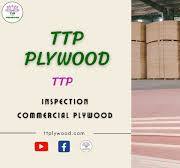 6 Key Points to Check When Inspecting Commercial Plywood
