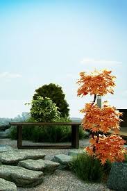 Zen Garden Big Rocks Bench Potted Tree Simple Zen Garden Design Zen Garden Japanese Garden