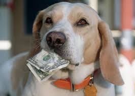 His dog ate the cash, and Treasury paid him back