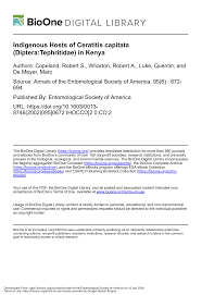 Image result for Rutidea fuscescens