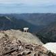 2026 Scotchman Peak