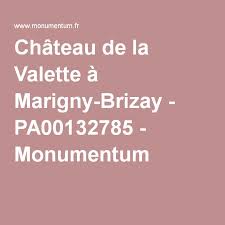 Chateau De La Valette A Marigny Brizay Pa00132785 La Valette Chateau
