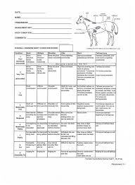 Henneke Scale Horse This Is The Henneke Body Score Chart