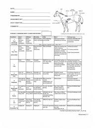 henneke scale horse this is the henneke body score chart