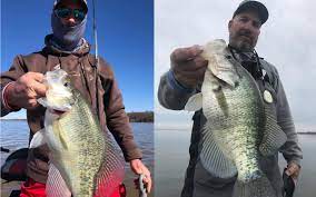 We did not find results for: Top 25 Crappie Fishing Destinations In America Wired2fish Com