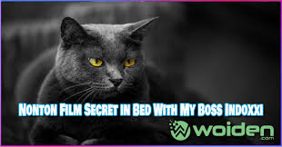 Secret in bed with my boss 2020. Secret In Bed With My Boss Lk21 Nonton Film Secret In Bed With My Boss Indoxxi Woiden Why Is Ilene Working A Desk Job Elin Garnes