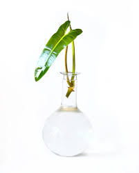 Pin On Propagation
