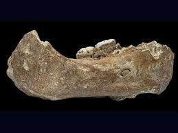 And in 2016, statistical geneticist ryan bohlender revealed that pacific islanders may carry the dna of another unknown extinct hominid. First Portrait Of Mysterious Denisovans Drawn From Dna