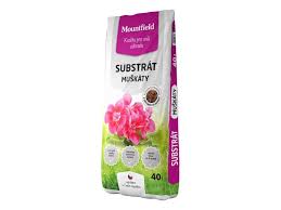 Image result for foto muškáty