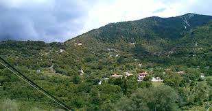 Αποτέλεσμα εικόνας για πόποβο αγια κυριακή