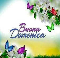 Tutte le sere il lido la macchia è aperto. Frasi E Immagini Nuove Per Augurare Buona Domenica E Buongiorno