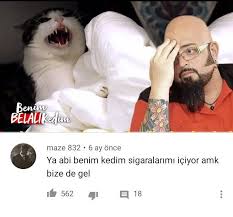 Benim Belali Kedim 2020 Kedi Gelin Yaya