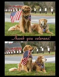 Find golden retrievers for sale on oodle classifieds. Pin On Veterans