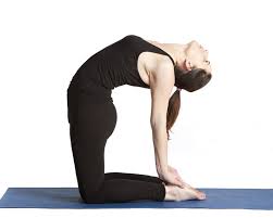 Also, this asana stimulates the functions of the central nervous. Health Benefits Of Ustrasana