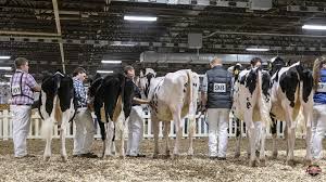 Pennsylvania Spring Holstein Show 2019