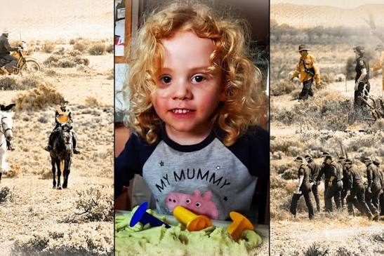 Gus Lamont missing for a year as chief detective issues emotional plea - ABC News