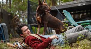 The program brings 90 trainees from different countries, agencies, and name: L0fvxmfegpu Sm