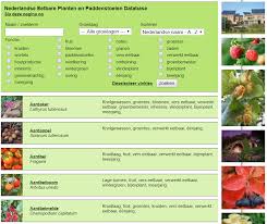 Eetbare Planten En Paddestoelen Database De Lange Mars Plus
