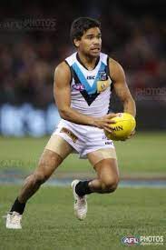 Galleries Afl Photo Galleries Afl Football Club Players