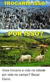 Trocaria Isso Por Isso Voce Trocaria A Vida Na Cidade Por Vida No Campo Bazar Diario Meme On Me Me