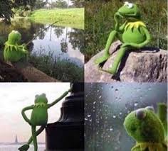 See more of kermit the frog on facebook. Meme Generator Kermit Waiting Newfa Stuff