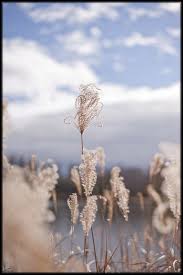 Fancy Australia Vacation Australia Western Australia