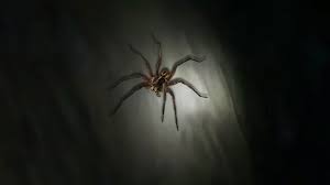 Maybe you would like to learn more about one of these? Khao Mai Kaew Cave Ko Lanta Destimap Destinations On Map