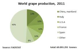 Eastagri Sector Grapes Wine