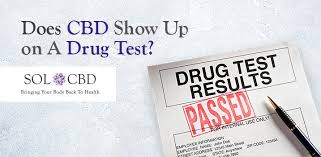 Does cbd show up on drug tests? Does Cbd Show Up On Drug Tests Sol Cbd Sol Cbd