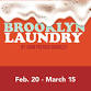BETC: Brooklyn Laundry | Feb. 20-Mar. 15 event image