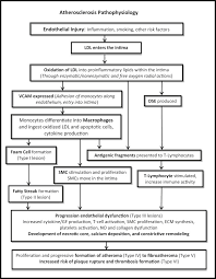 smoking a risk factor for vascular disease sciencedirect