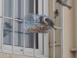 Empty Coke Bottle Bird Feeder Kus Yemlikleri Kus Kus Yuvasi