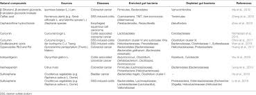 Image result for Bacteroidaceae
