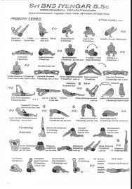 Image result for Primary Series