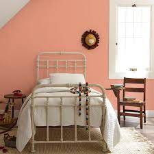 Terra Cotta Clay Matte Interior Paint