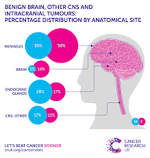 Due to interest in the. Brain Other Cns And Intracranial Tumours Incidence Statistics Cancer Research Uk
