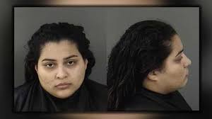 Daughter fatally stabs mother after argument in Vero Beach