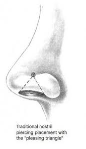 44 New Ideas For Piercing Nose Placement Nose Piercing Placement Nose Piercing Stud Nose Piercing