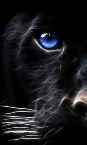 We did not find results for: 14 Panther Images Ideas Panther Panther Images Black Panther