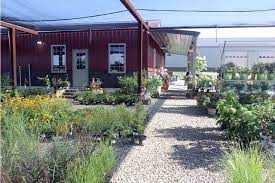 Our Garden Center Grass Roots Marshfield Mo Garden Center Grasses Garden Grass
