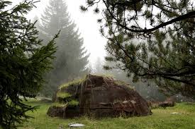 Zoovalhala zoo porno - knotty 18 teen twice during our