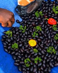 Image result for Canarium schweinfurthii