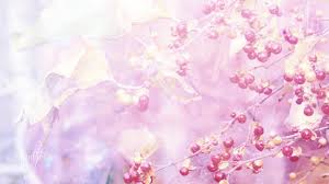 But aside from the well known meanings, such as the one we just mentioned, are you familiar with what other types of flowers. Bittersweet Flower Meaning Dictionary Auntyflo Com