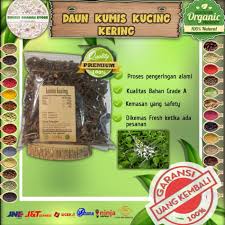 We did not find results for: Jual Daun Kumis Kucing Kering Terbaru Lazada Co Id