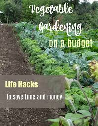 We already talked about using plastic bottles to grow vegetables. Diy Garden Ideas On A Budget 30 Inexpensive Vegetable Garden Hacks
