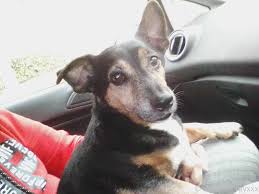 Experience Jamie Ray's unfiltered fanplace- hidden arousing acts