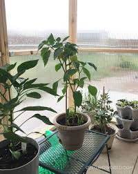 It was a fun & challenging build, but lowe's is the perfect partner to help you finish. A Diy Greenhouse For Growing Food Year Round Off Grid World